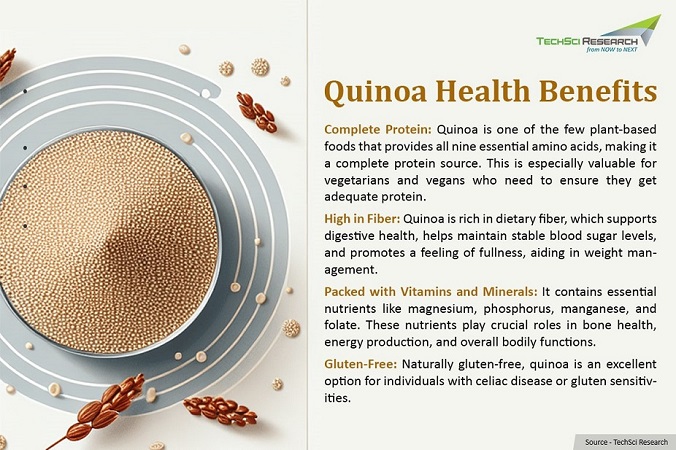 Quinoa Seeds: The Superfood Revolutionizing Your Diet