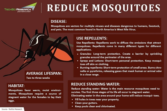 Top 10 Mosquito Repellent Companies: Keeping You Bite-Free